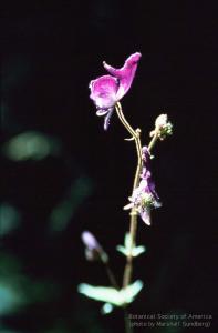 01-079h