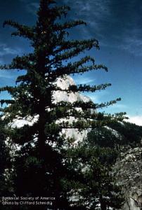 01-106h