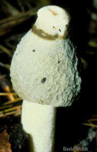 02-012h