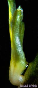 08-069h