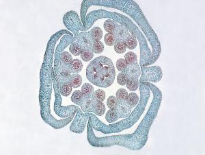 21-029