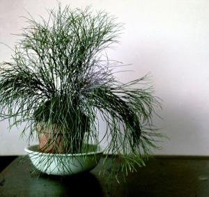 25-001